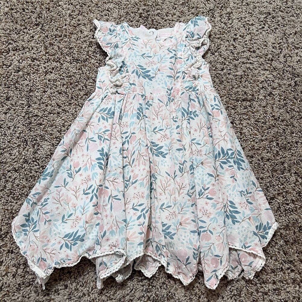 Shabby Chic Girls Floral Fluffer Sleeve Dress Size 2T